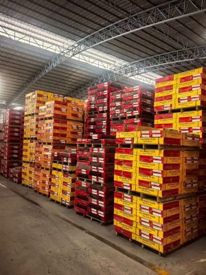 Our Authorized Cooperative Factory